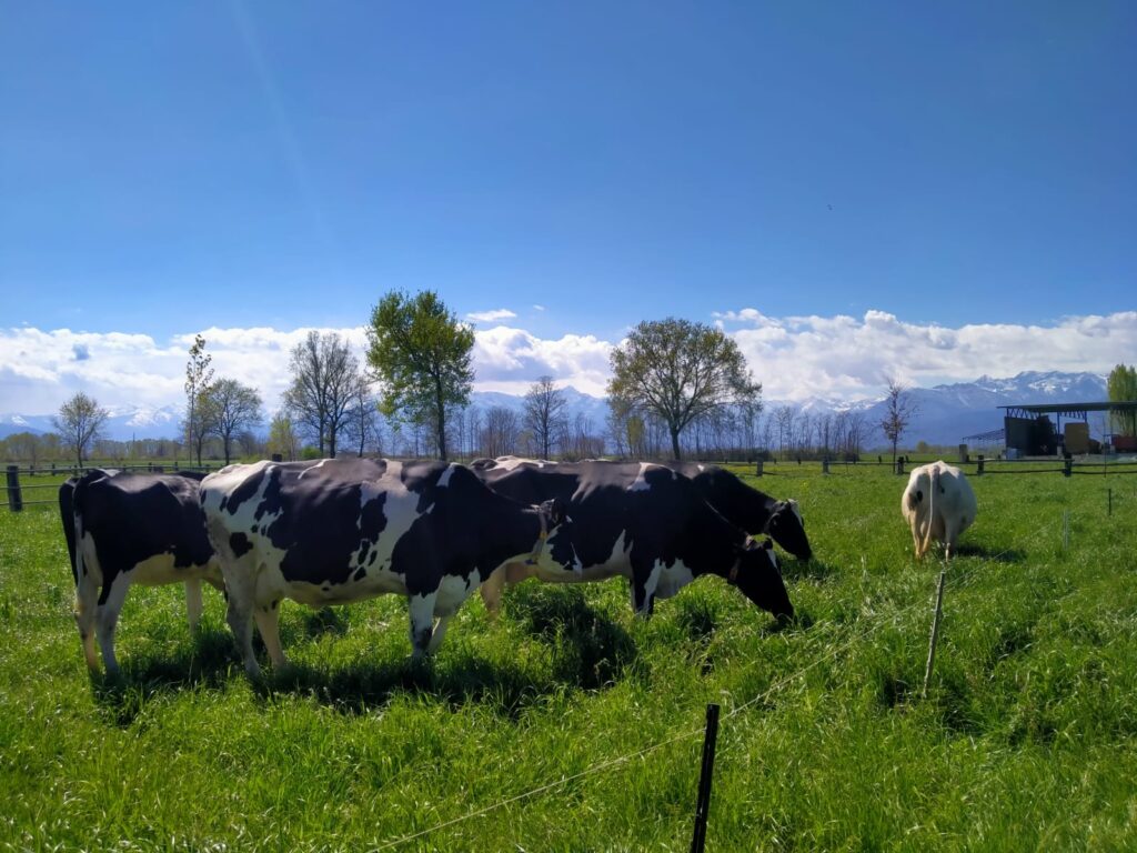 azienda agricola futura