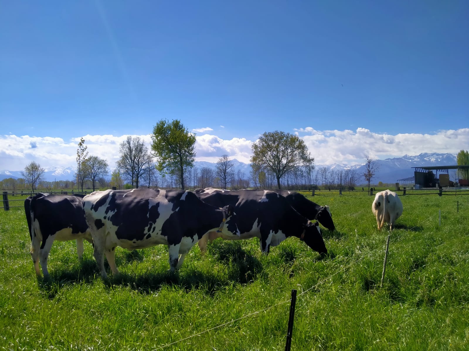 azienda agricola futura