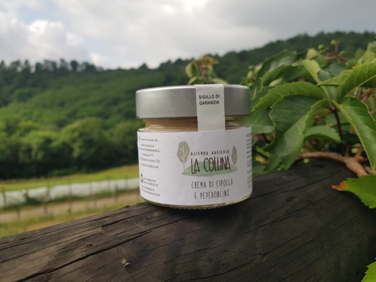Crema di cipolla e peperoncino