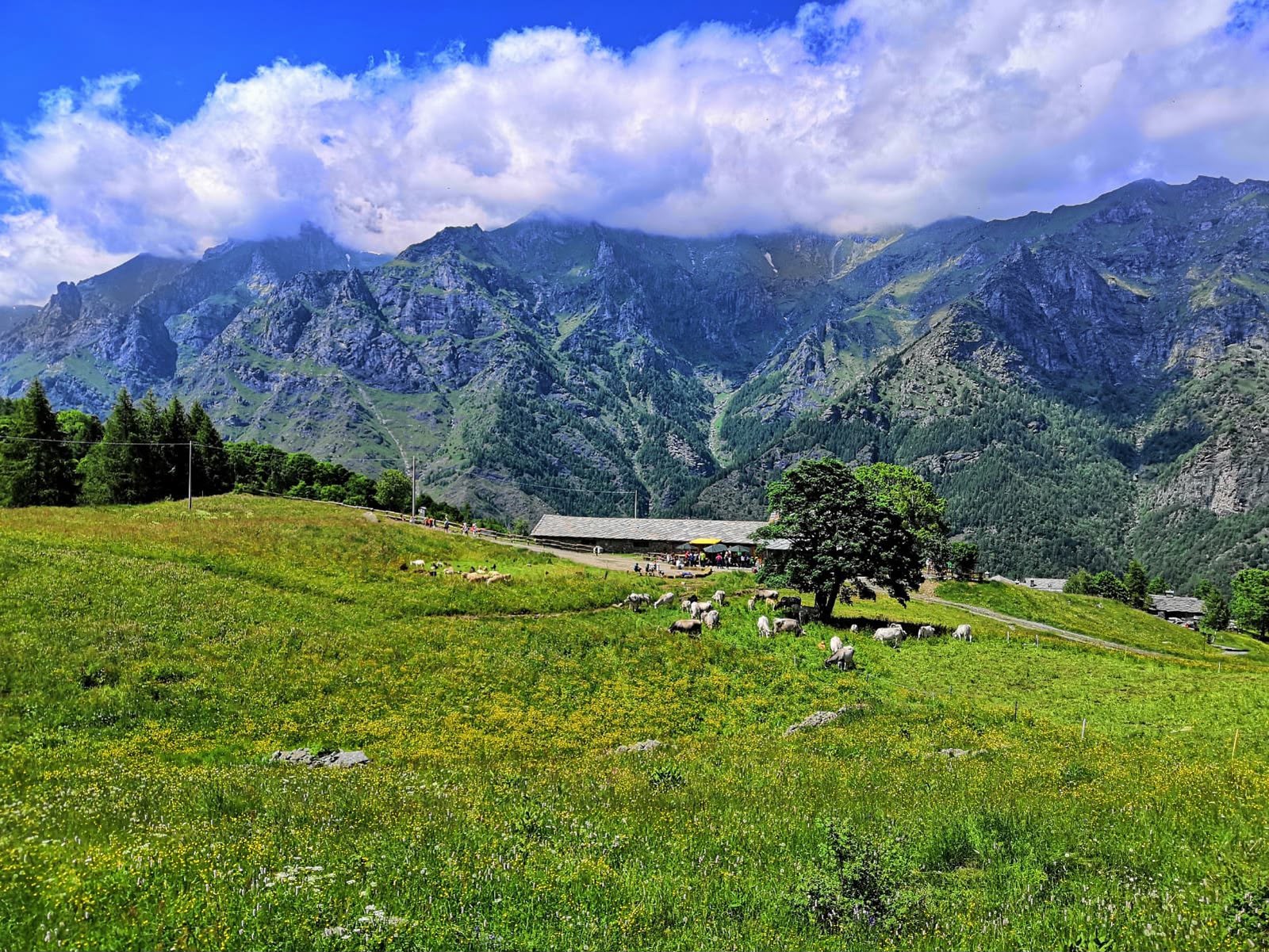 Immagine azienda
