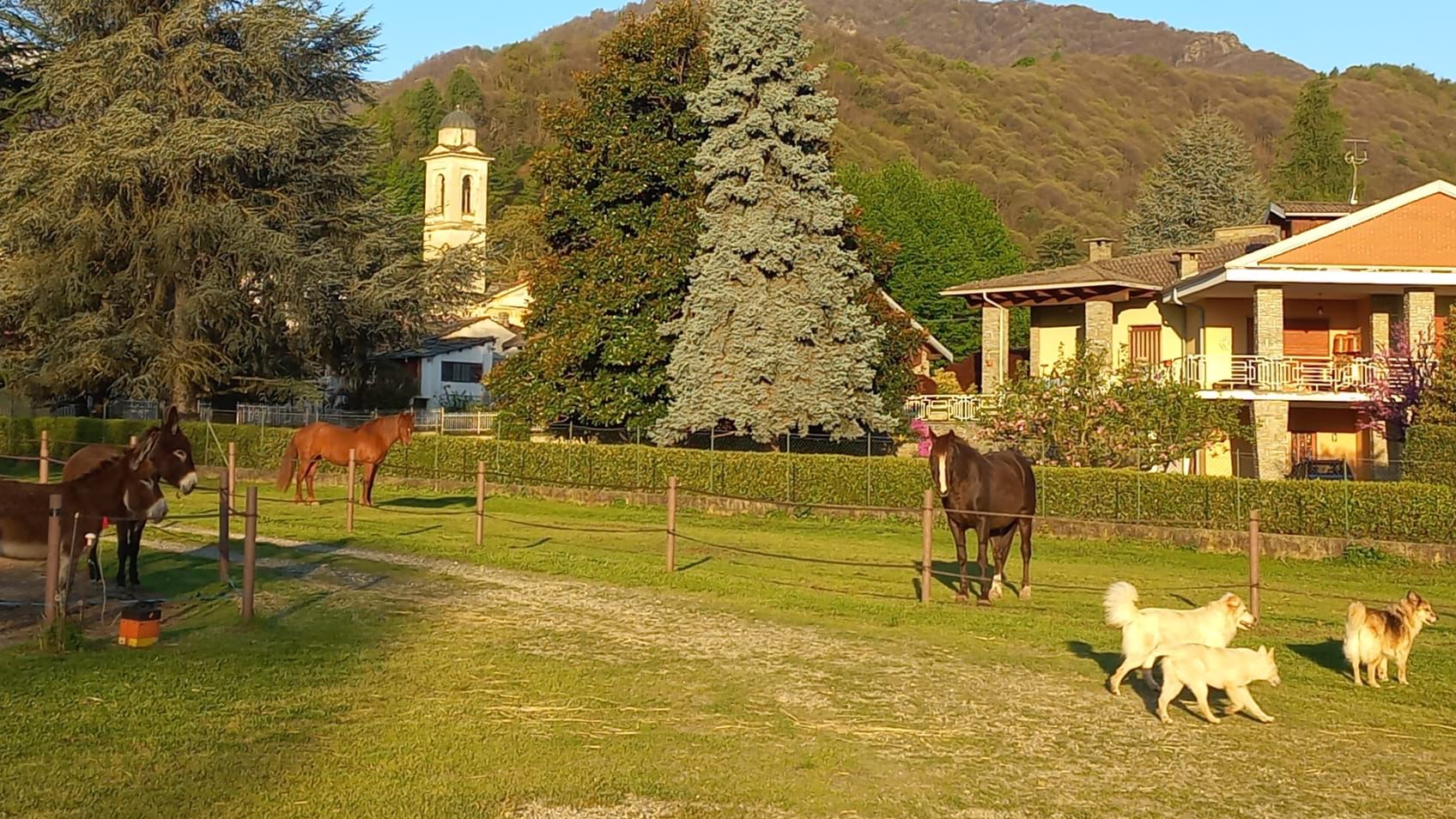 Immagine azienda